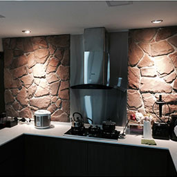 Futuristic Kitchen Renovation - Housing Design Contractor